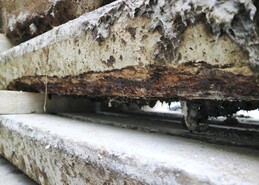 TAMS top spends: how to utilise TAMS III on different budgets