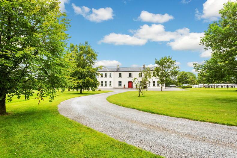 Exceptional equestrian holding in Royal County