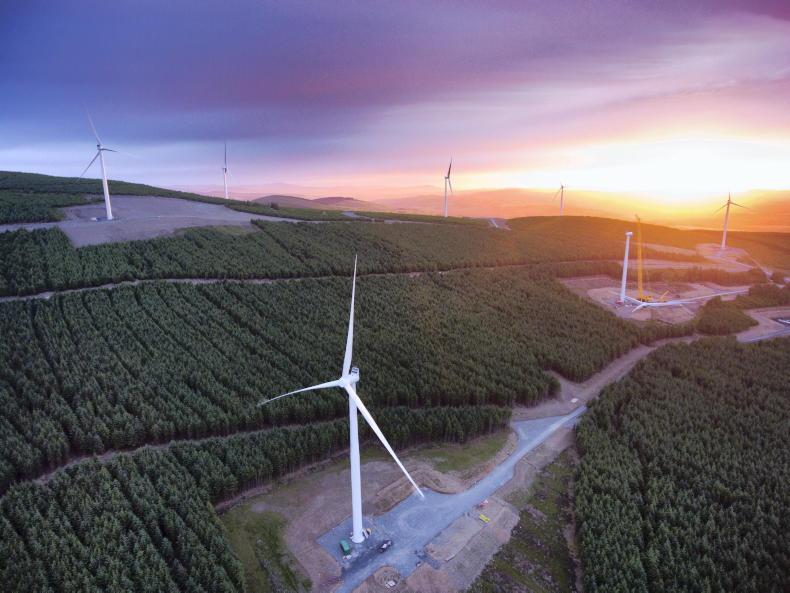 Could NI’s forestry be unlocked for renewables?