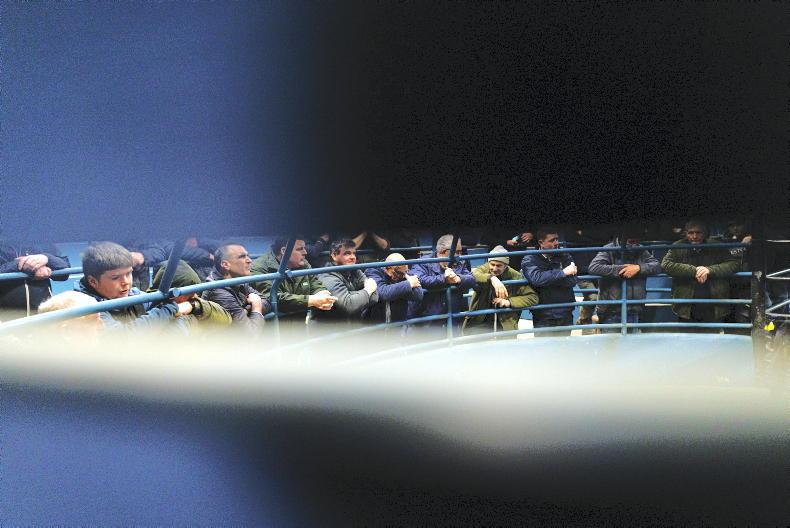 Camera at the Mart: addition of second weekly sale a boost for Kanturk