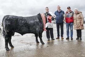Angus bulls hit €5,800 in Munster