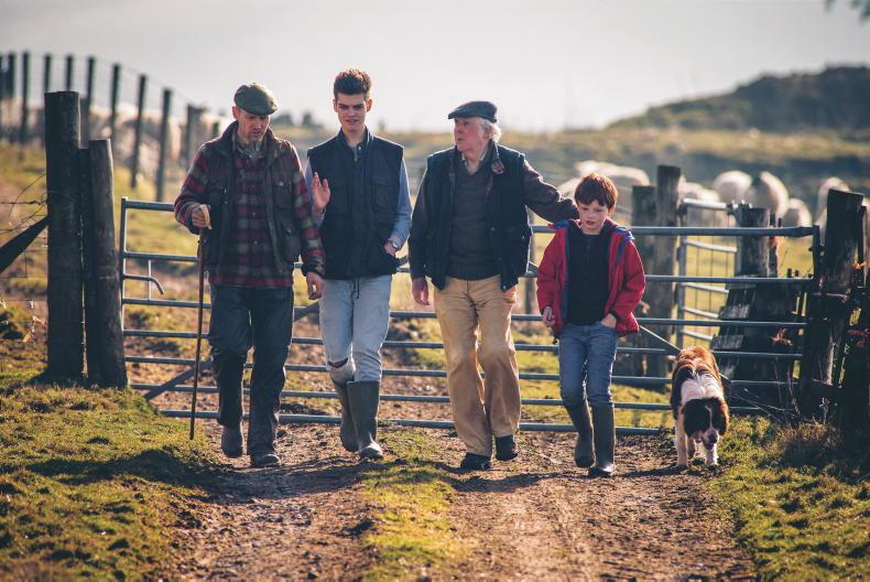 Should I add my name to a family herd number?