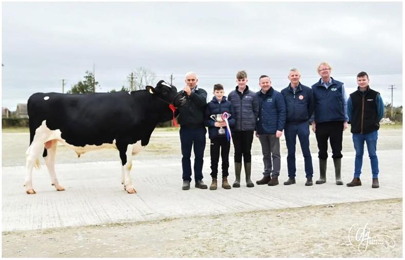 Zeus powers his way to €6,600 in Kilmallock