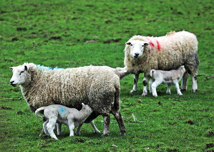 Contending with ongoing weather challenges