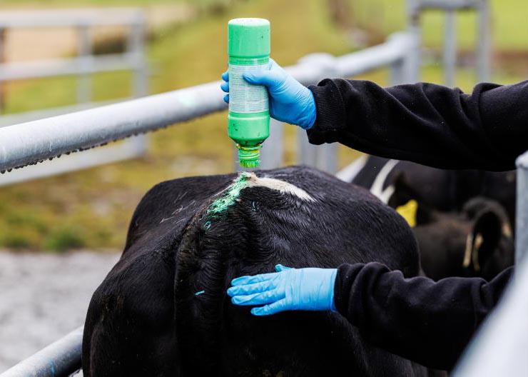 New aids to detect heat reduce workloads