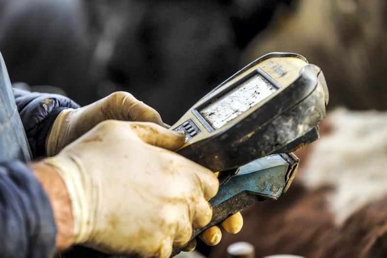 Retrospective TB measures on farmers are unfair - IFA