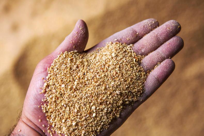 Analyst warns of more fuel price hikes to come 