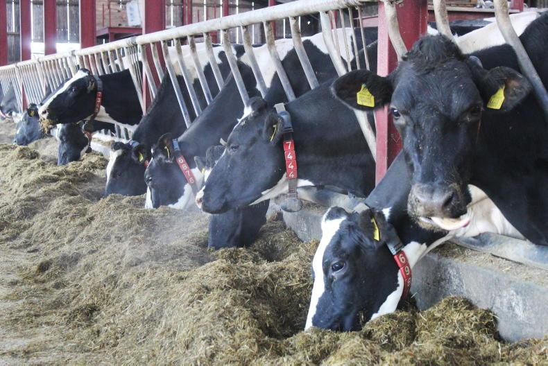 Scarva farm to host UK dairy carbon network