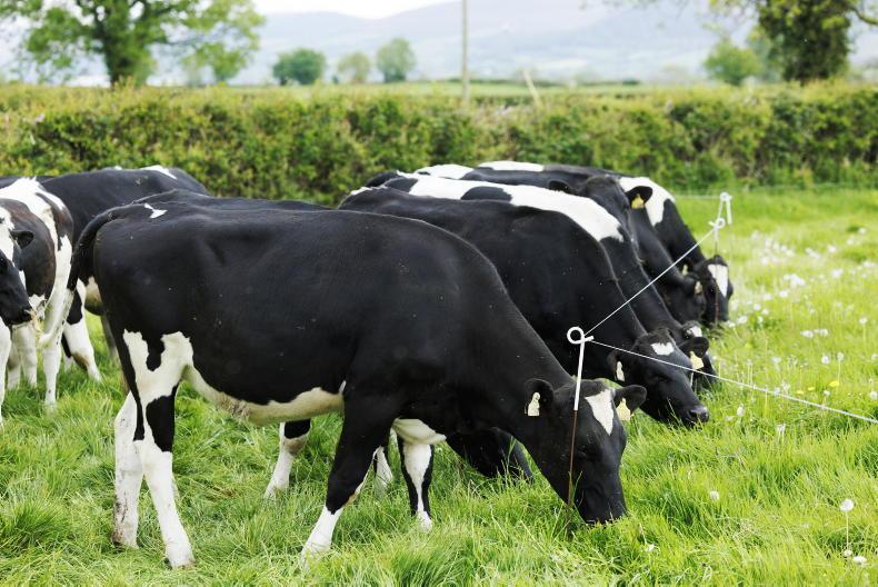 Dairy Management: breeding, pre-heats and grass growth