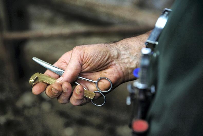 Mart managers voice concerns regarding new TB rules