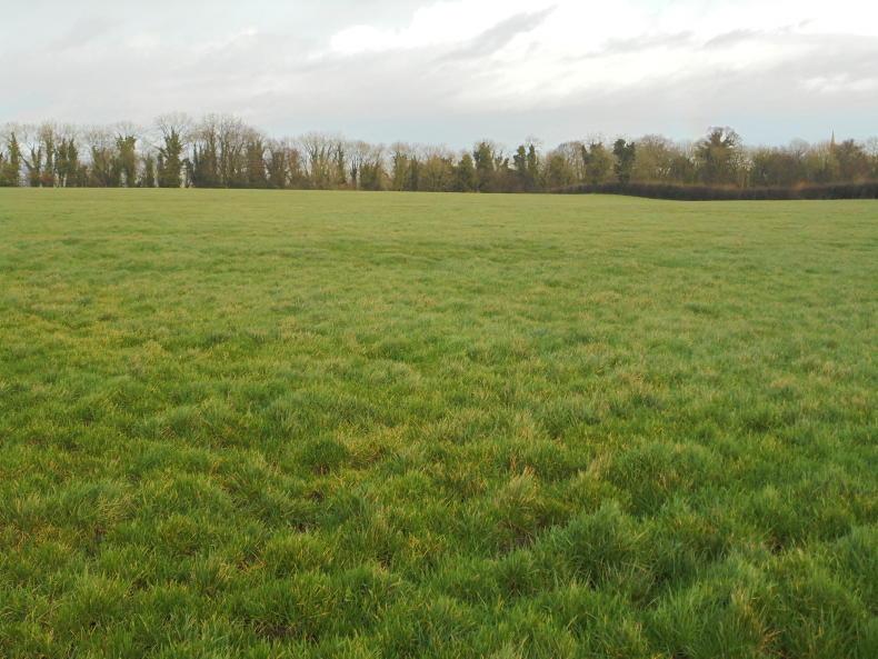 Editorial: leases shifting west