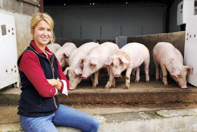 My Farming Week: Hannah Ryan, Ballylooby and Araglin, Co Tipperary