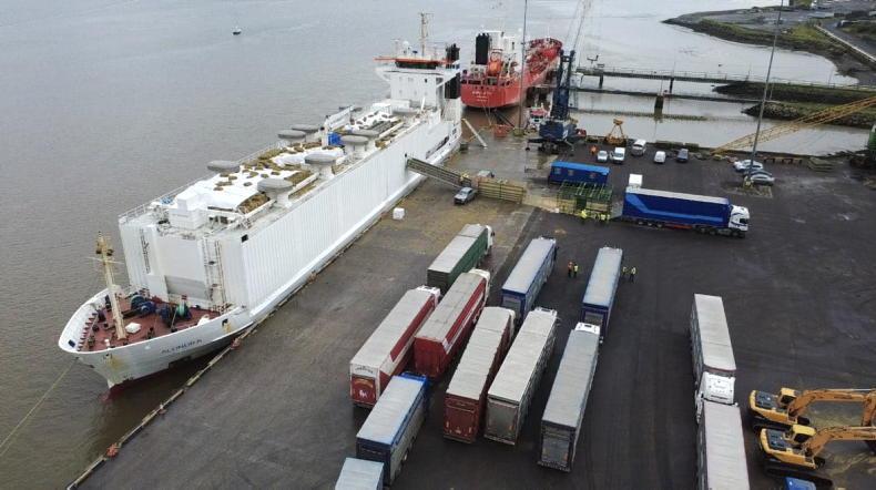 Maxwell livestock loads shipment of weanling bulls