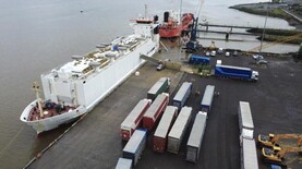 Maxwell livestock loads shipment of weanling bulls