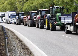 Port blockades threaten feed supplies 