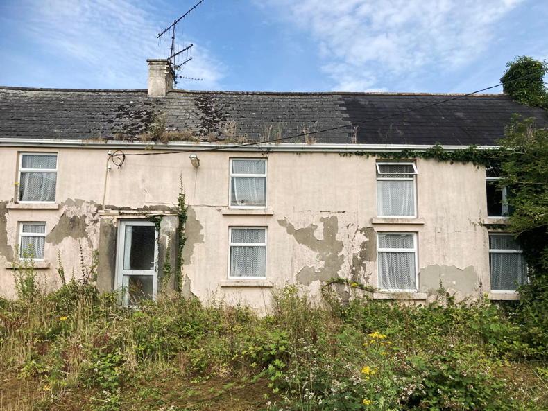 Prime 80ac ‘Rebel’ farm for €1m