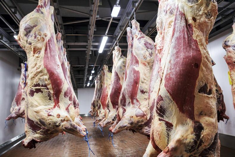 Backlog cleared as beef quotes remain steady