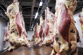 Backlog cleared as beef quotes remain steady