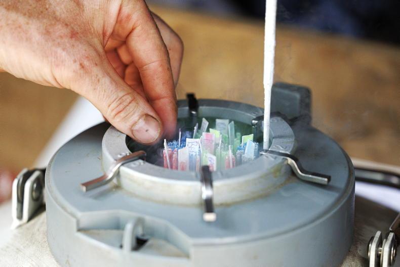 Demand for sexed semen ‘on par with last year’