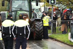 Feed mills battle to keep ration supplied as fuel shortages bite