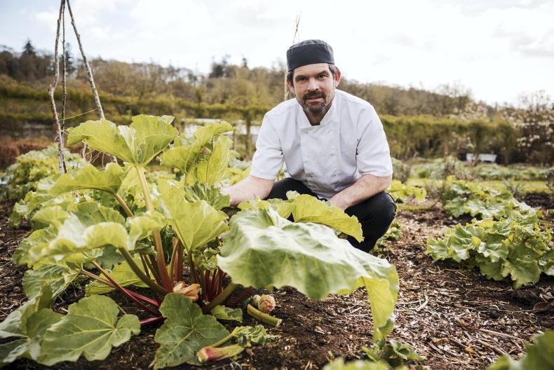 Living history on a plate at Mount Congreve Gardens