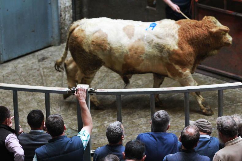 How new TB rules will affect cattle sales in marts