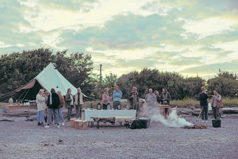 Spilling the tea with Maître d'