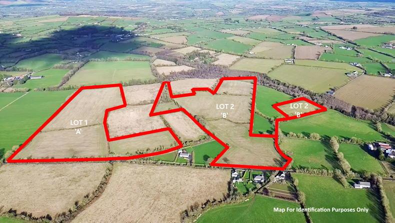 Wexford farm on 87ac exceeds guide price by €10,000/ac