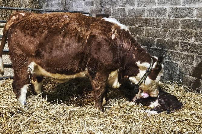 Farmer Writes: drizzle and driving rain