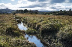 Commission approves €1.3bn for rewetting of peatlands in Germany