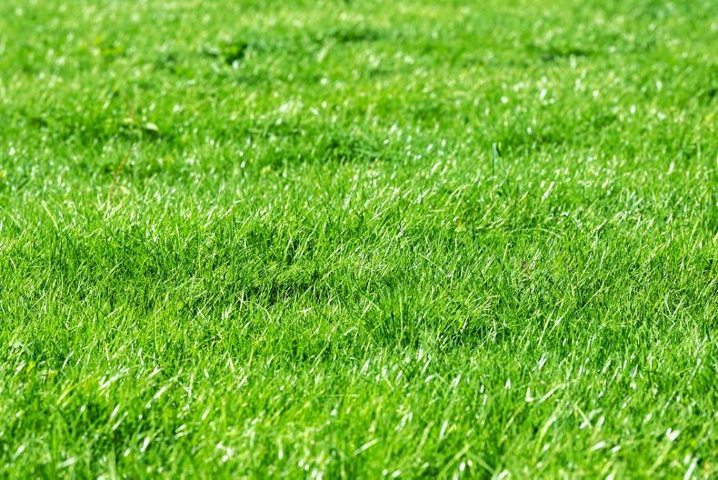 More rain is affecting grazing progress