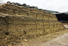Warning for spoiled silage after wet spring