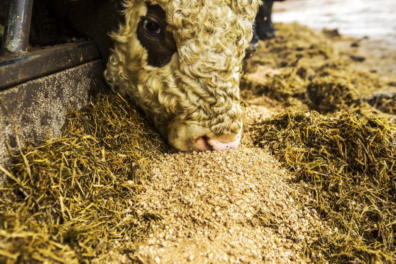 Mills preparing for feed price increase