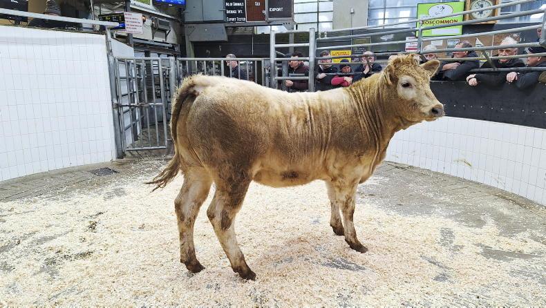 Martbids Database: confusion around TB changes in mart rings