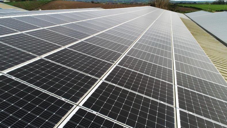 Editorial: fuel crisis highlights need for renewables  