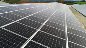 Editorial: fuel crisis highlights need for renewables  