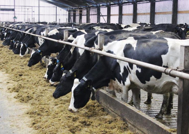 Dale Farm make a £10m 13th payment