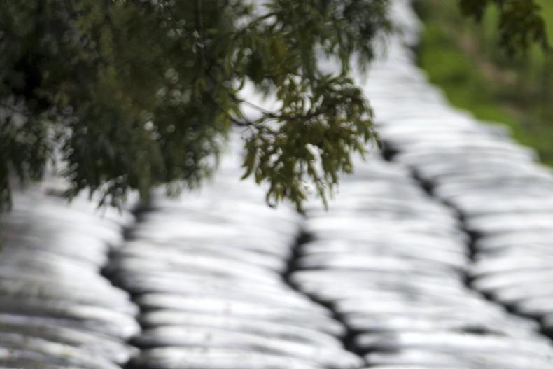 Editorial: respite due from weather woes 