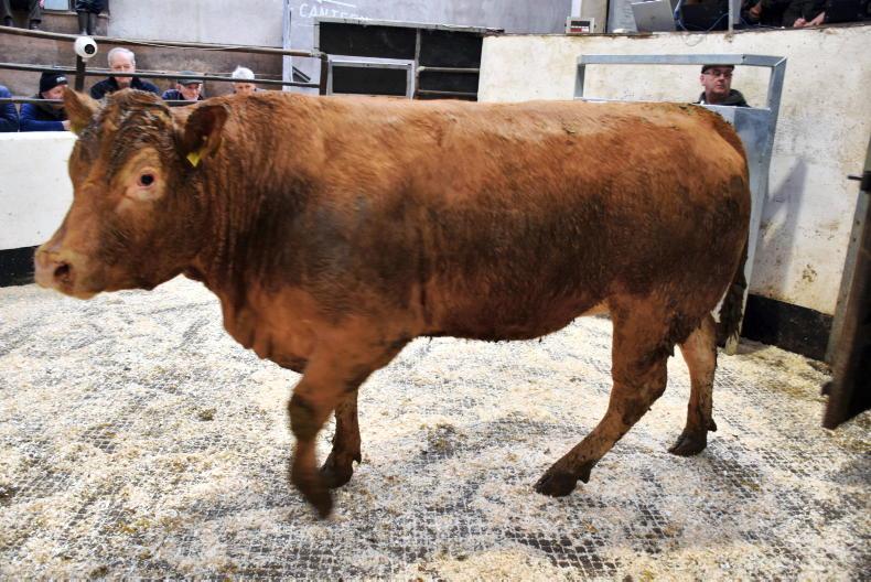 Northern View: higher numbers keep a lid on trade