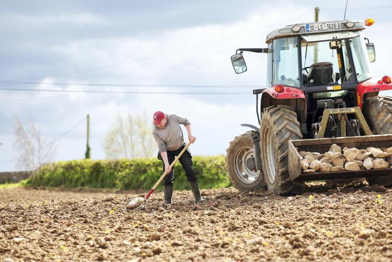 Tillage Podcast: rain, resistance and brighter weather