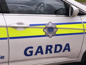 1,000l of green diesel stolen from farm in Roscommon