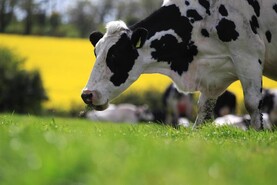 Agri jobs: dairy farm workers needed