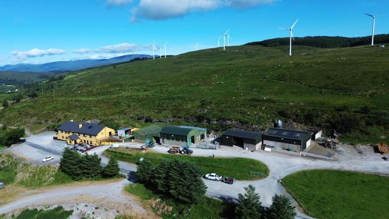 €7,200 a year: what solar can save a 100-cow herd