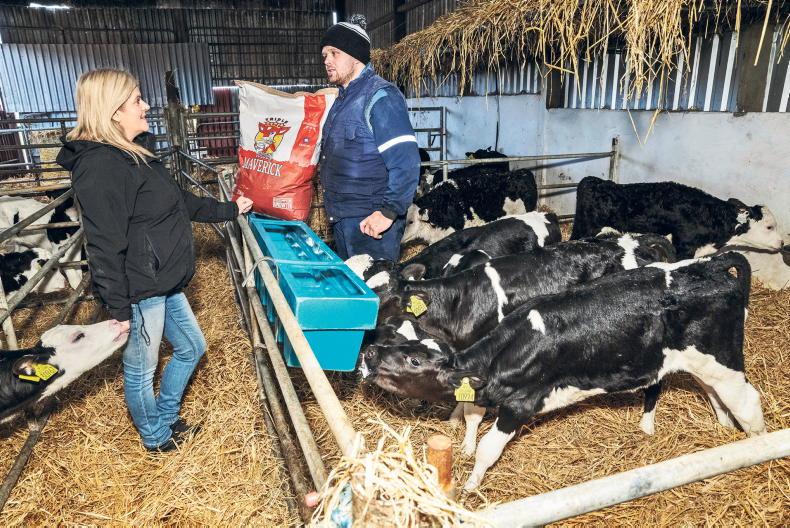 Building the future herd right from day one