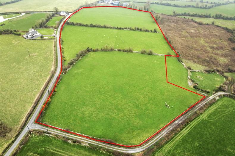 Fields with flexibility in Carlow guided at €12,000/ac