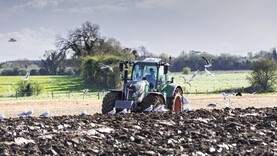 Watch: this week in photos as protests take place in Dublin