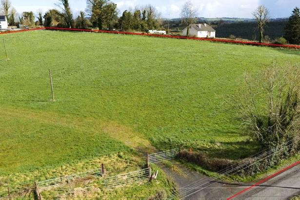 Cavan holding on 35ac close to N3 for €15,000/ac