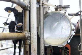 Strathroy milk bought in south should be under milk agency’s remit – Cahill