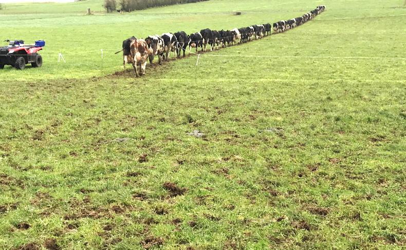 Getting the grazing infrastructure right on farms