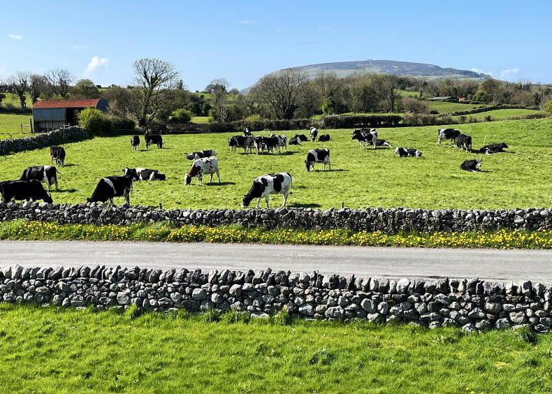 In pictures: our favourite readers' photos of the week